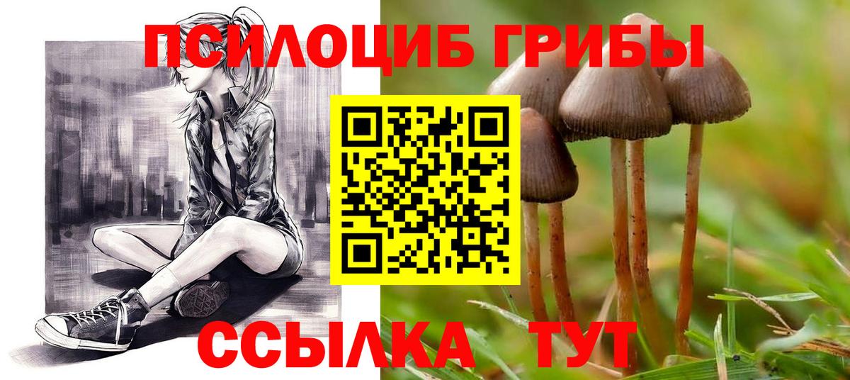 Псилоцибиновые грибы прущие грибы  Вход с VPN  Пыть-Ях 